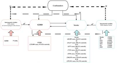 Association between gastroesophageal reflux disease and stroke: a bidirectional Mendelian randomization study